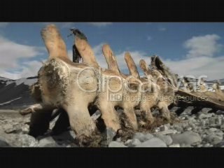 Stock footage - Svalbard, Clipcanvas.com
