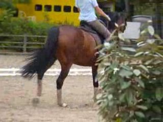 27 aout Gamma Touquet