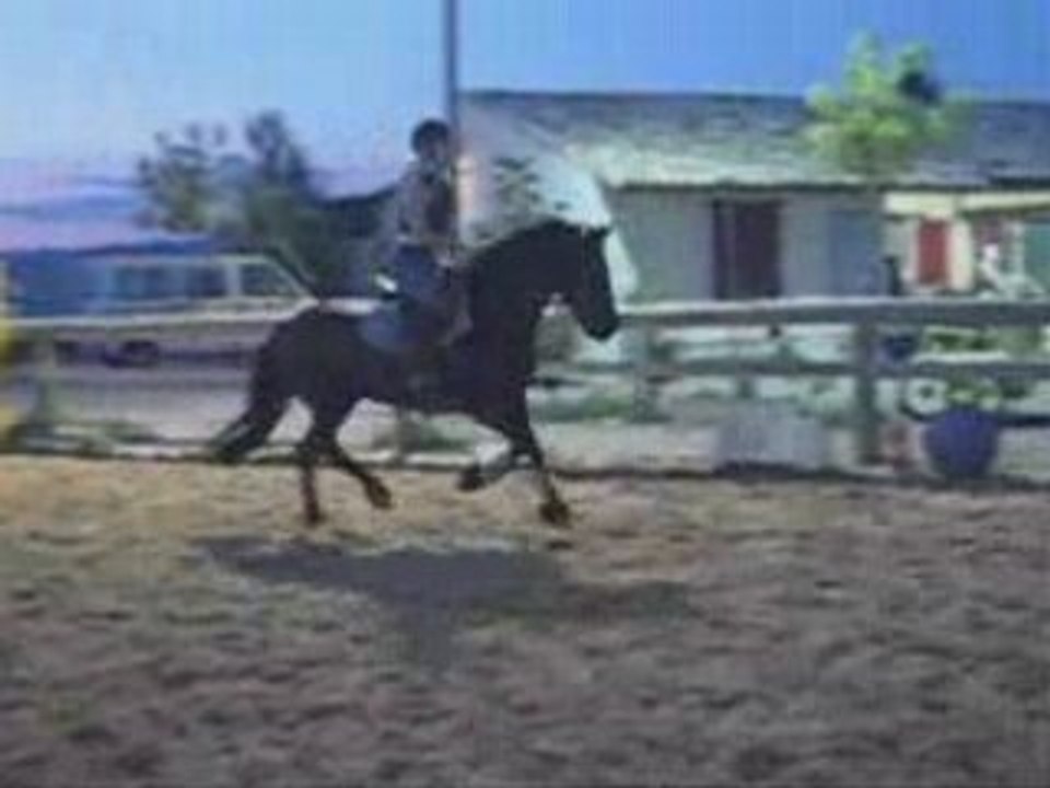 Orée saut