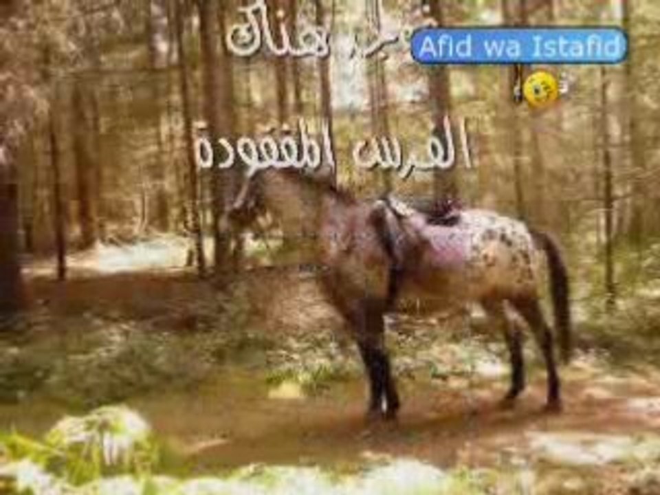 Farasso ali فرس علي