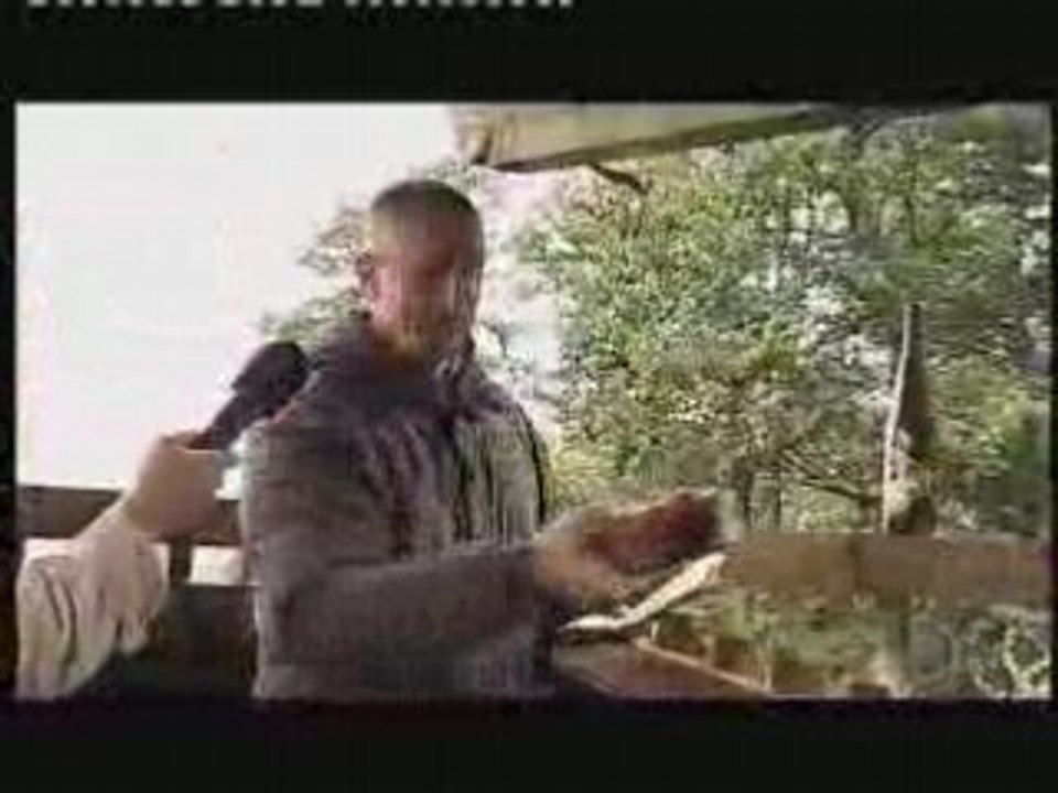 Emission Picnic