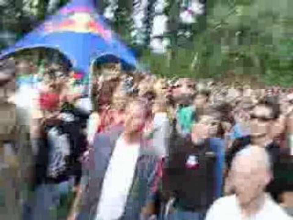 Elbpark entenwerder - grünanlage elektrofestival