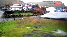 Köyün yakınına kadar indi! Ardahan'da güpegündüz dehşete düşüren görüntü