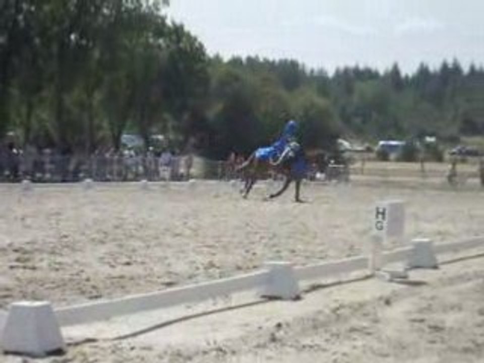 Lamotte beuvron (7)