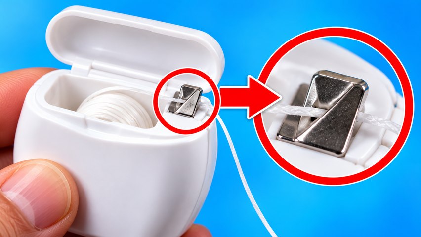 The Everyday Object Detail You Always Saw but Never Understood