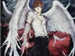 Angel sanctuary-completa