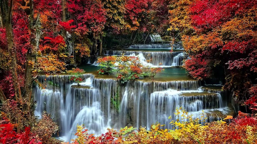 Chute d’Eau et Forêt d’Automne 🍂💧 _ Musique Douce et Relaxante