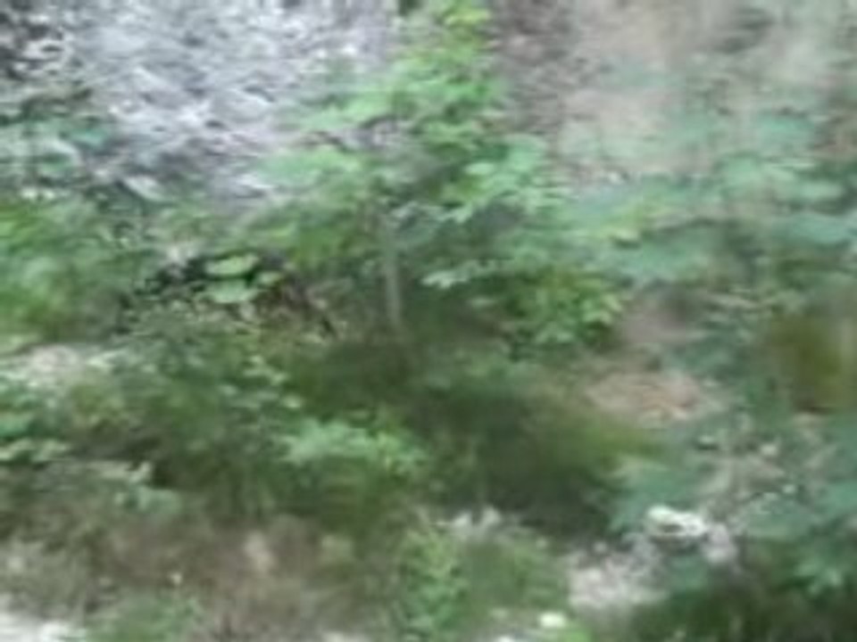 DRAISINE en ballade seul