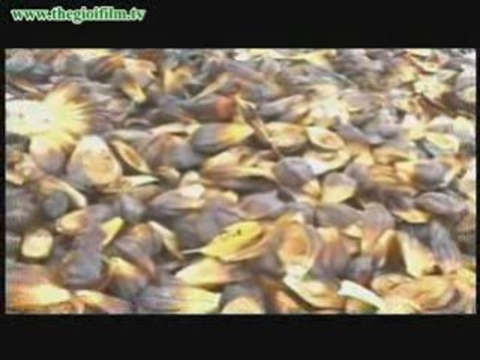 TheGioiFilm.tv-NgaoDuSaiGonNgoai O-1