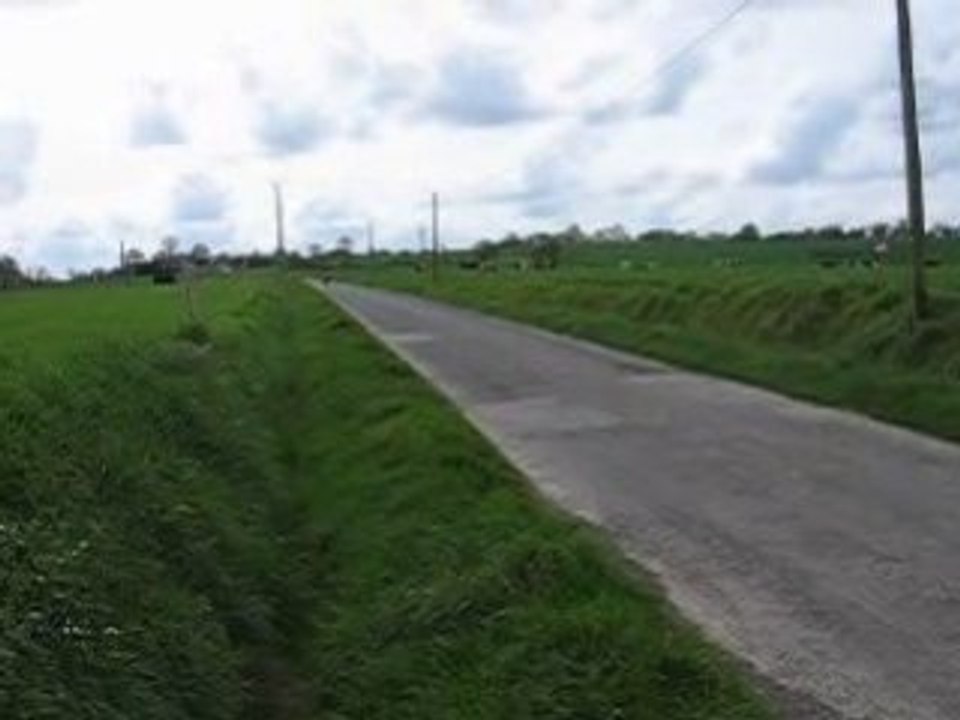 MVI_3838