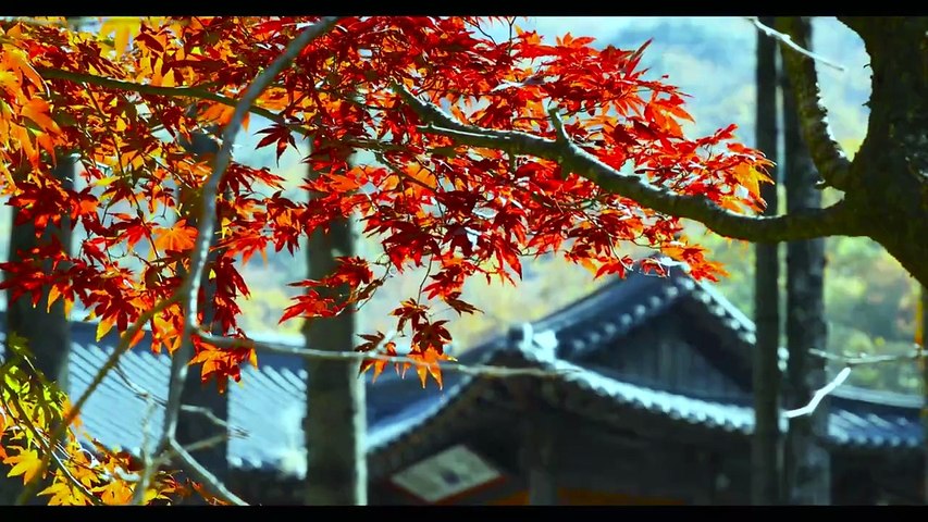 Cozy Relax Music Chill