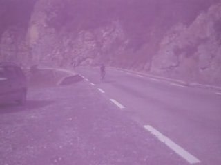 L'Boeuf dans la vallée du Guil-Embrun 2008