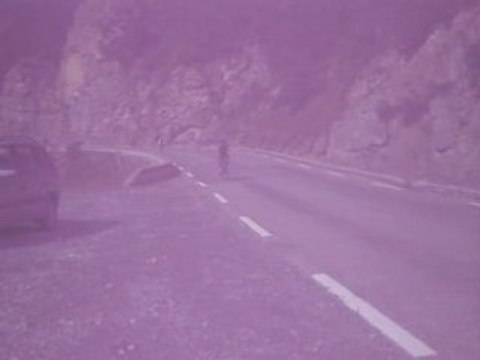 L'Boeuf dans la vallée du Guil-Embrun 2008