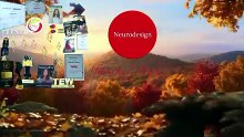The Mountain of Success' Life In The Business Environment Of The Neurodesign Company & ITs Founder Mihaela Plesca