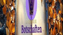 Energie Botschaften by Jana – Folge 17
