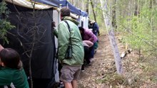Regent honeyeaters released near Kurri Kurri.