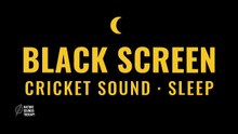 Bird Sounds and Crickets · Black Screen Meadow Sleep Sounds