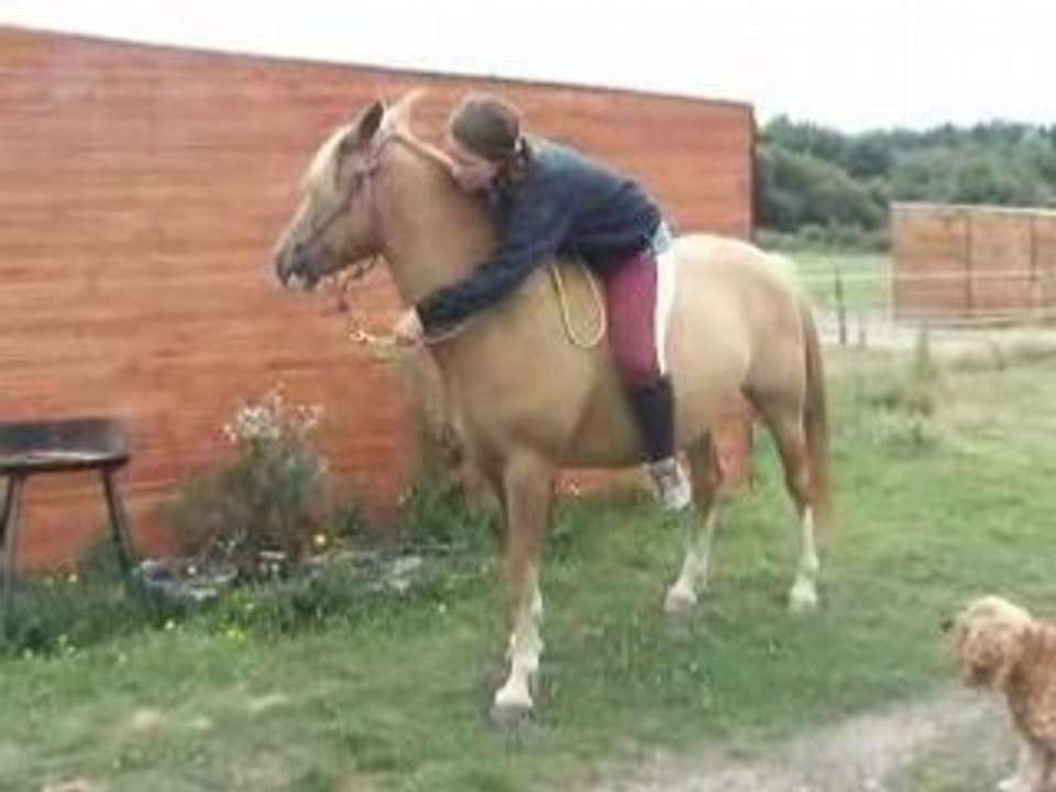 Gogole à Cheval