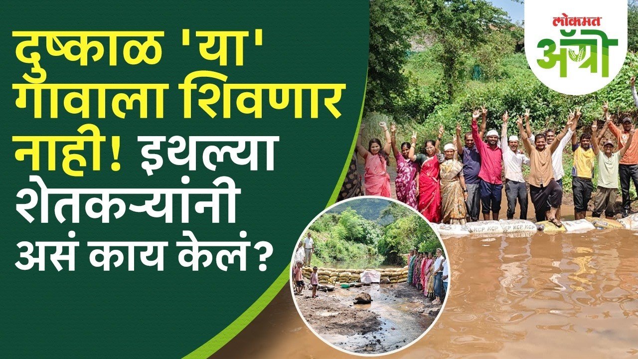 दुष्काळावर मात करण्यासाठी गाव एकवटलं! शून्य खर्चात ६ दिवसांत १०० वनराई ...