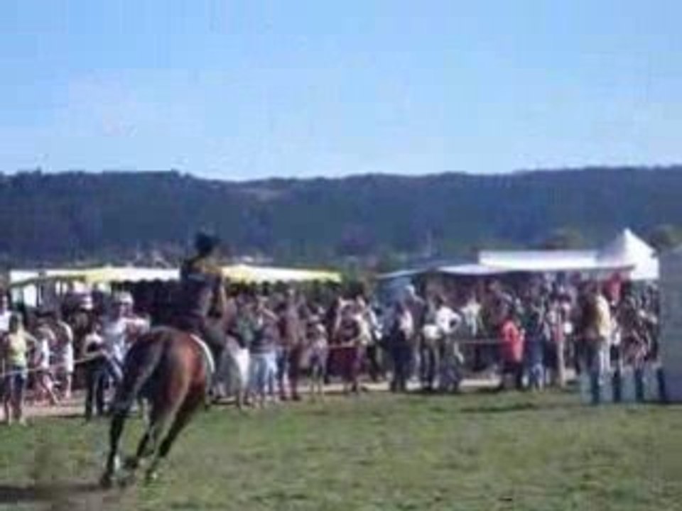 SDC10265