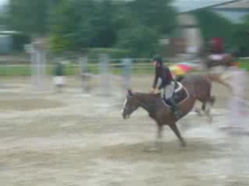 Lure - Lutina au paddock