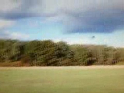 Débuts de voltige sur reflex xtr avec un t-rex 450 se v2