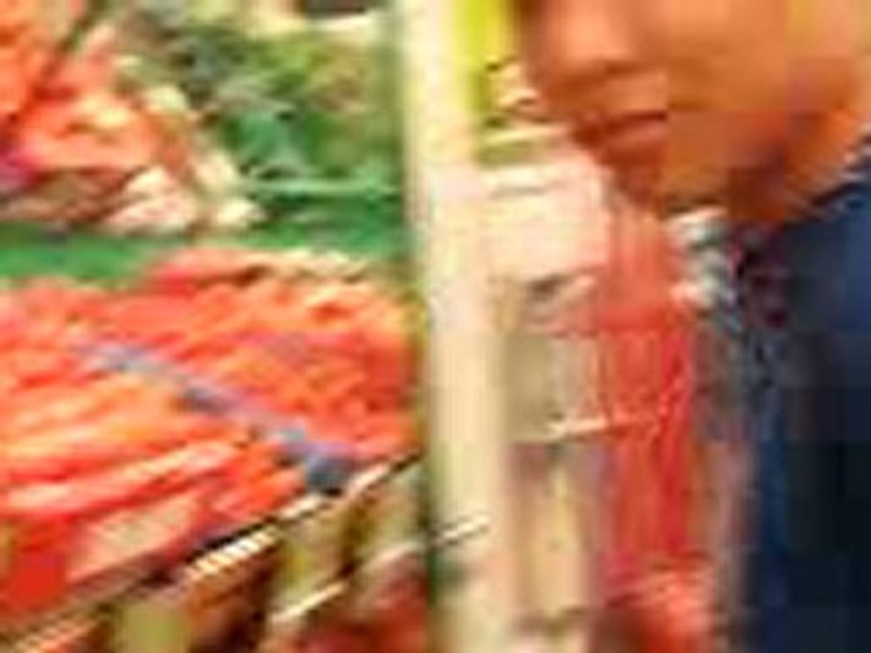 KEITA & TOON font les courses !