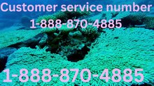 Comprehensive Full Trusted List to Reach Priceline Customer Service Assistance