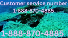 Official Ultimate Complete Guide to Communicate With Priceline Customer Service Support