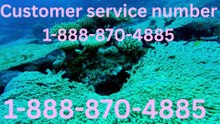 Official Full Comprehensive Guide to Communicate With Priceline Customer Service