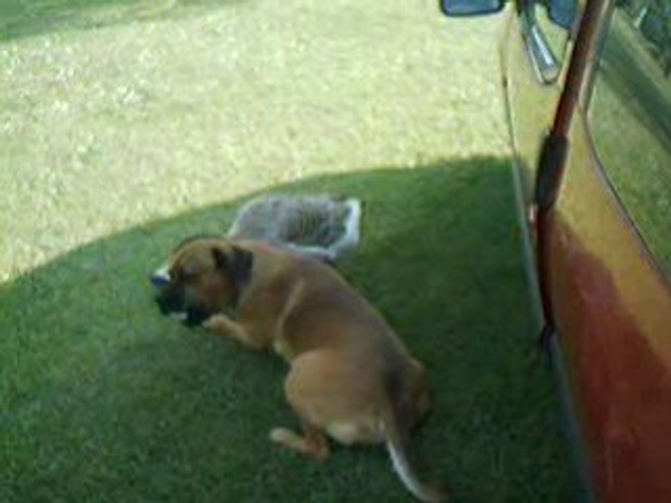 Photo 070