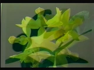 Bai Tinh Ca Cho Anh - Huong Lan