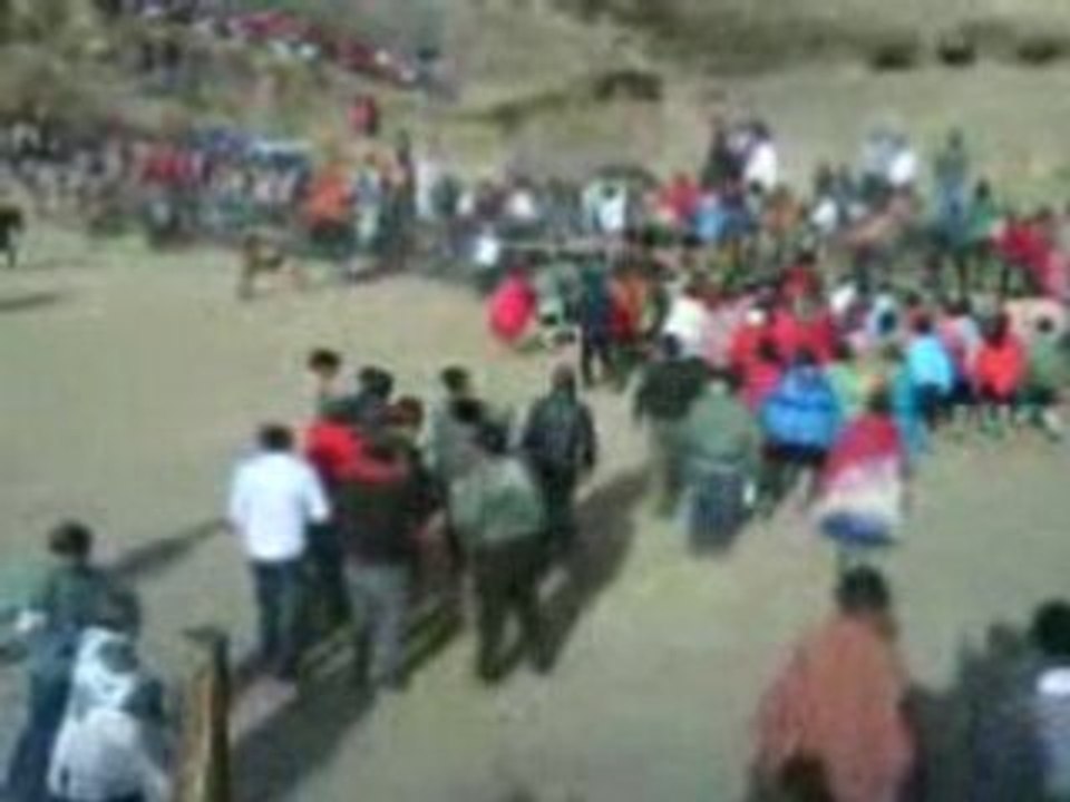 corrida_chevaux