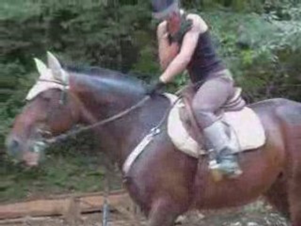 Grosses montées et descentes