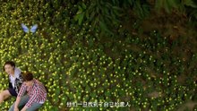 The Beloved (2015) Watch HD
