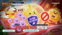 체지방 감소에 탁월하다?! 여주 발효 효소로 지방 빼기 다이어트 출발!