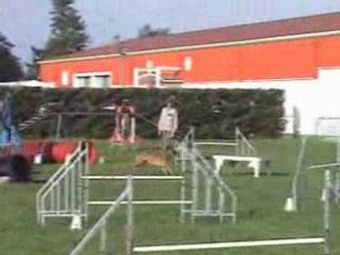 Agility (Open et Degrés de Toul 2008)