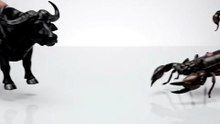 🐂🦂 Bull Venom! Water Buffalo Fuses With Scorpion