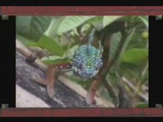 K'ala Nord aminay agny