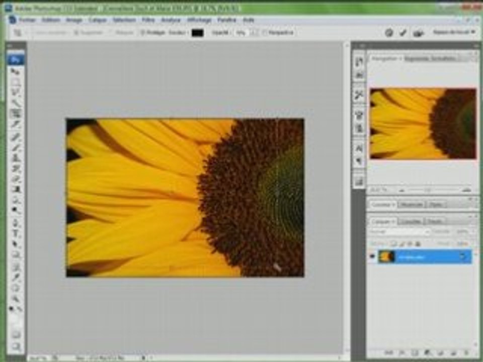 Tutoriel4 - recadrage