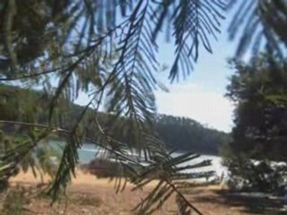 Portugal , monde de " chiu " <3