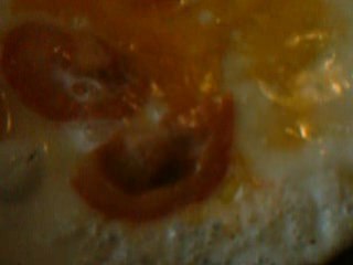 поющая яишница