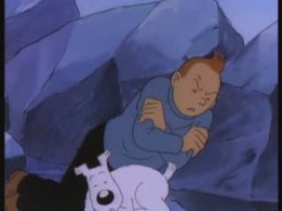 tintin a froid