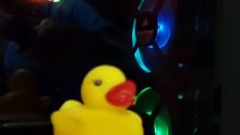 🌈 LGBT Ligths! 😂 #rgb #pcgaming #pc #computer
