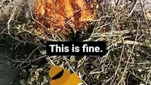 This is fine. #funny #meme