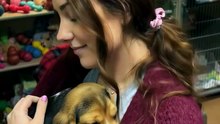 Rescued Beagle Puppy Falls Asleep in Her Arms 😴🐾