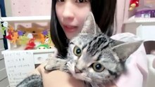 山川万里愛 HKT48 2026-10-16 21_33 SHOWROOM