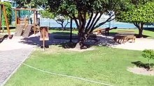 Vale a pena se hospedar nesse paraíso?