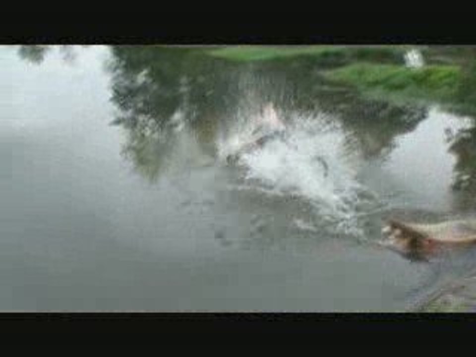 Montage Water Jump - L'ile au pie 2008