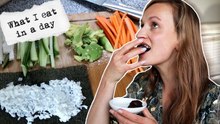 Dagje eten in Nederland: vegan Dutch meals, sushi en snacks